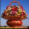 清青（回复不周请谅解）的头像
