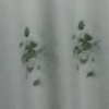 不在关注的头像