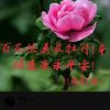 一生平安的头像