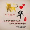 拼搏未来（有访必回）的头像