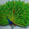 孔雀的头像