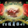 超越梦想的头像
