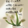 路边一粒沙的头像