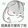 奶兜的头像