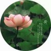 春春的头像