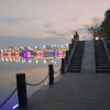 浪漫樱花的头像