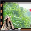 炫歌青春的头像