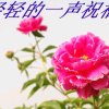 情深似海的头像