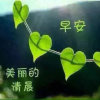 瑛的头像