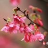 （病休暂停）晓风的头像