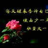 山美水美。的头像