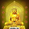 又见山里红的头像