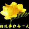 微笑:)而过的头像