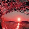 粤 春 光 明 媚 的头像