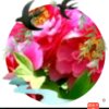 牡丹花宇的头像