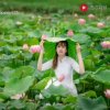 涛声依旧的头像