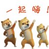 襄阳城主的头像