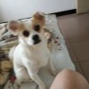 太阳的头像