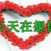 回忆的天空的头像