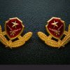 都来唱家族副董燕子的头像
