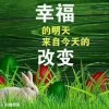 雨中百合的头像