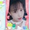 小鱼儿的头像