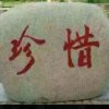珍惜的头像