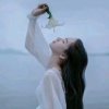 子非鱼&的头像