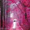 寒梅：的头像