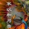 我愛我家的头像