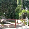 常乐的头像