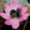 云彩的头像