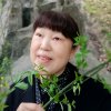 龙的头像