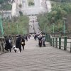 散了的头像