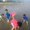 刘三姐的头像