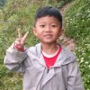 小李的头像
