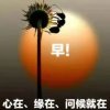 一切随缘的头像