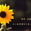 向日葵的头像