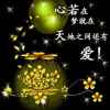 红杨树的头像