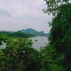 真爱永恒（退出)的头像
