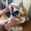 铭心的头像