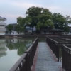 默默戴旭东的头像