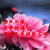 听歌的人的头像