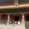 劲风《二团》的头像