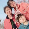 蝴蝶兰的头像