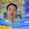 心音悠长的头像