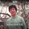 北国风光的头像