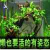 顺其自然的头像