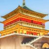 快乐青藏高原（副号)的头像