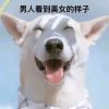 笑死红尘的头像